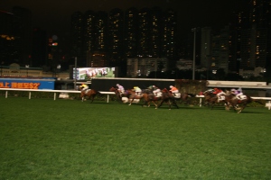 Horse race 